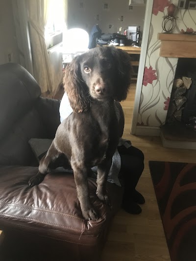 Grooming Van Image
