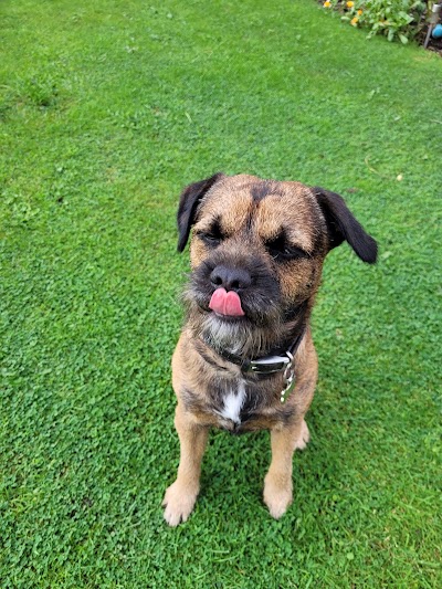 Grooming Van Image