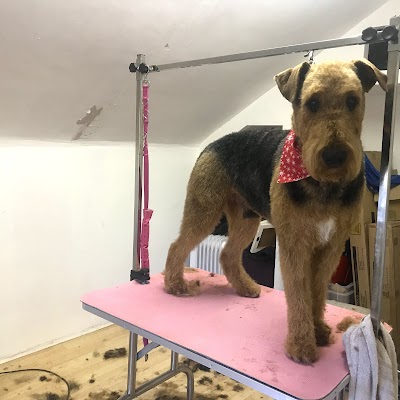 Grooming Van Image