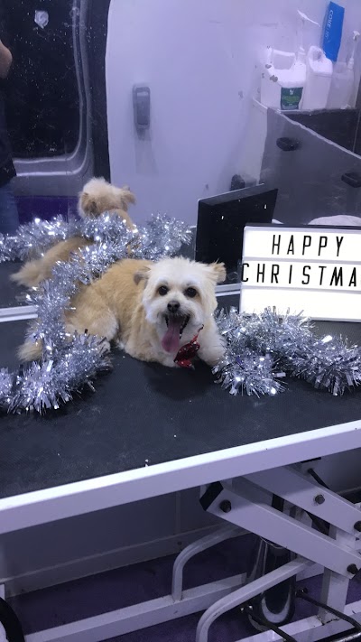 Grooming Van Image
