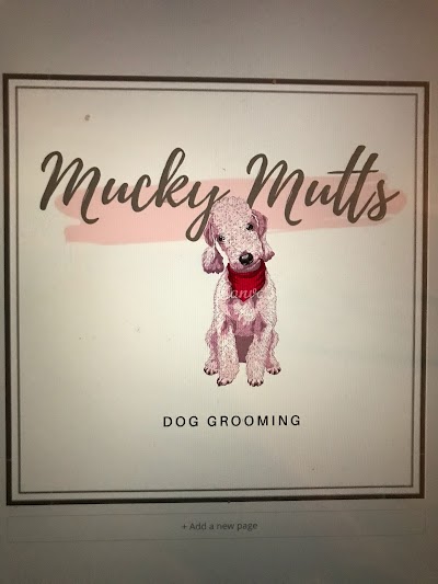 Grooming Van Image