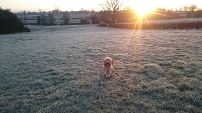 Grooming Van Image