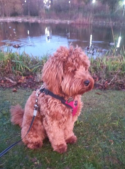 Mucky Pups Dog Grooming