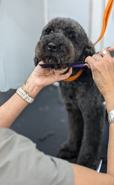 Grooming Van Image