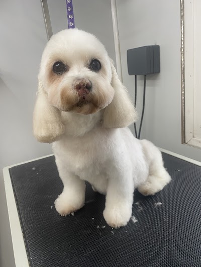 Grooming Van Image