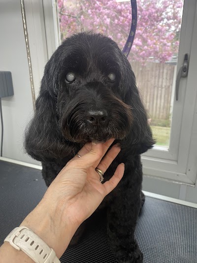 Grooming Van Image