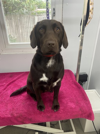 Grooming Van Image