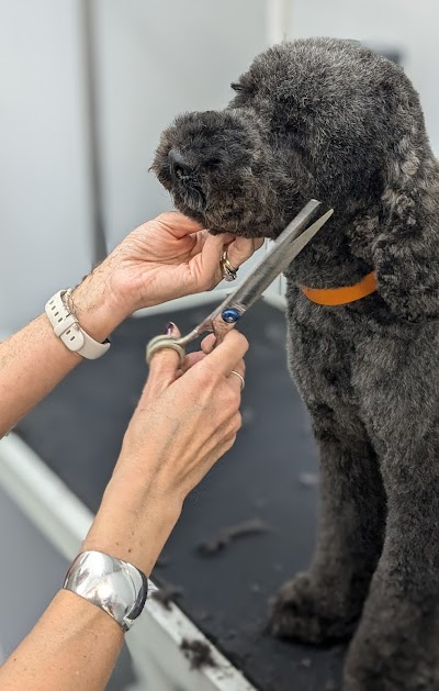 Grooming Van Image