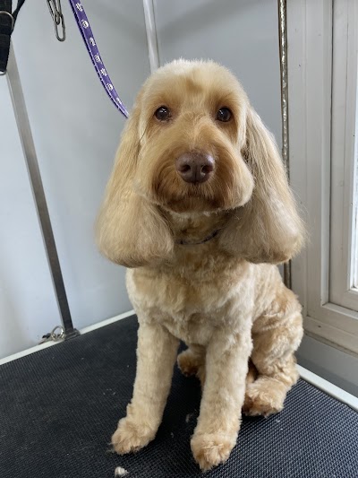 Muddy Paws Dog Grooming