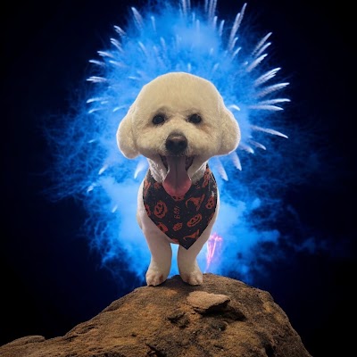 Grooming Van Image