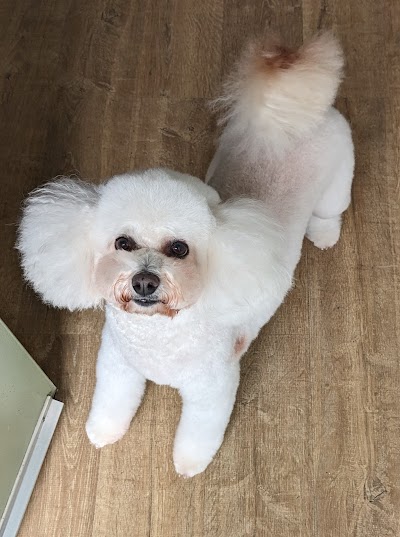 Grooming Van Image