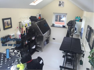 Grooming Van Image