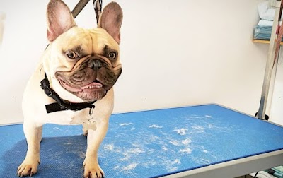 Grooming Van Image