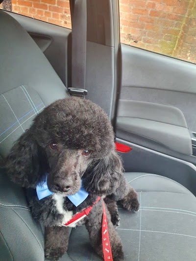 Grooming Van Image