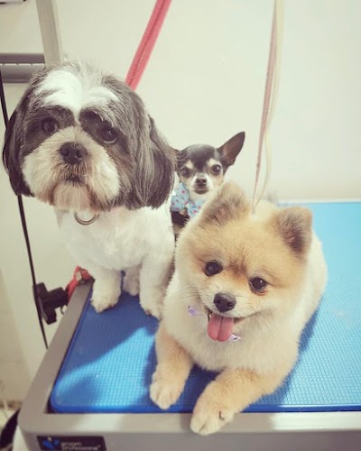 Grooming Van Image