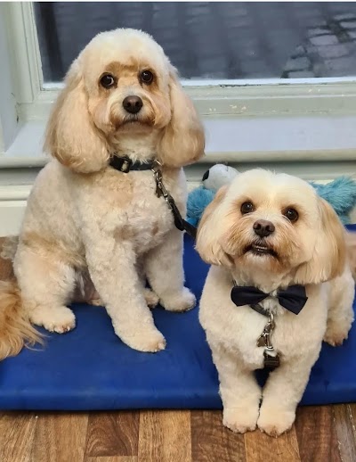 Grooming Van Image
