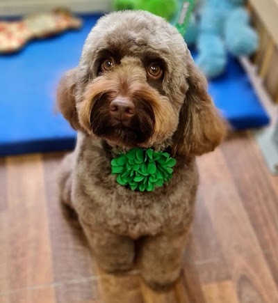 Grooming Van Image