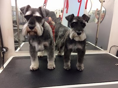 Grooming Van Image