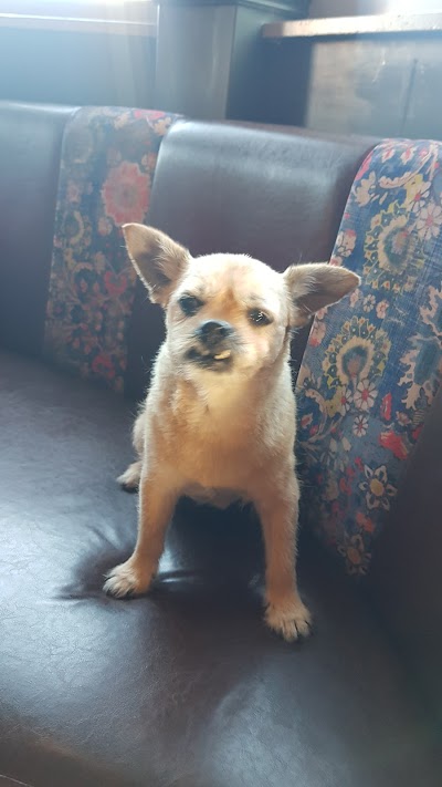 Grooming Van Image