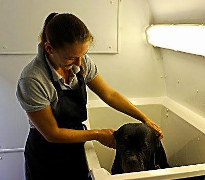 Grooming Van Image