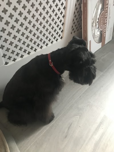 Grooming Van Image