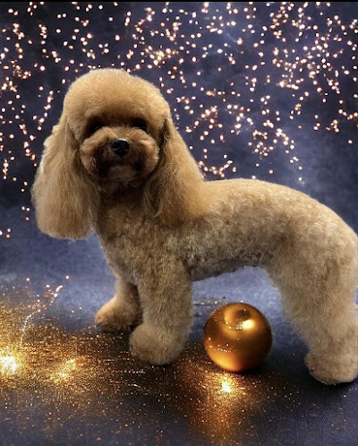 Grooming Van Image