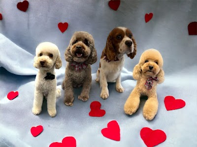 Grooming Van Image