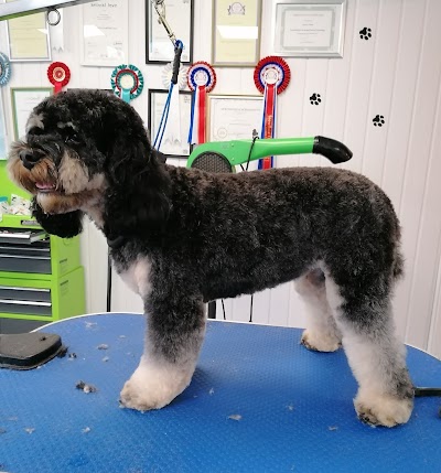 Grooming Van Image
