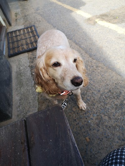 Grooming Van Image