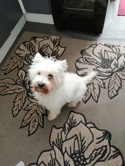 Grooming Van Image