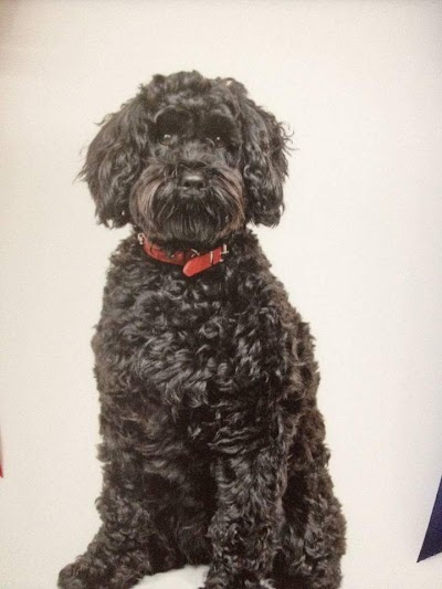 Grooming Van Image