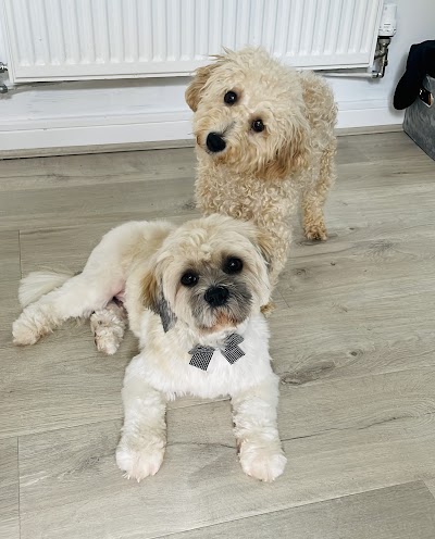 Grooming Van Image