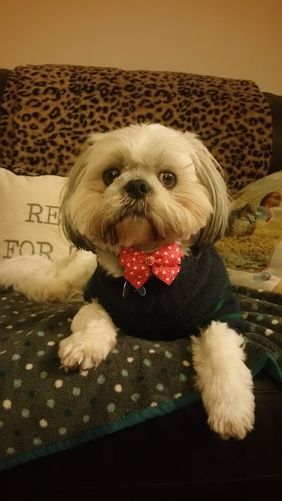 Grooming Van Image