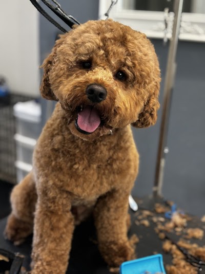 Grooming Van Image