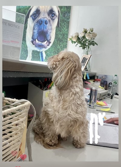 Grooming Van Image