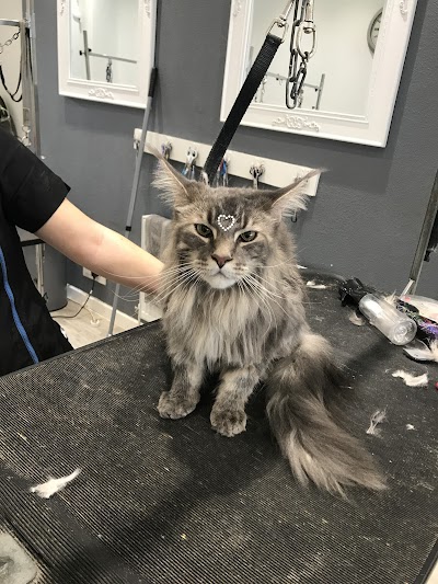 Grooming Van Image