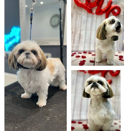 Grooming Van Image