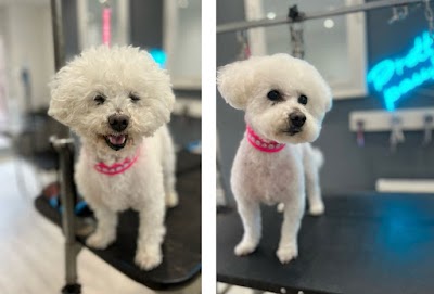 Grooming Van Image