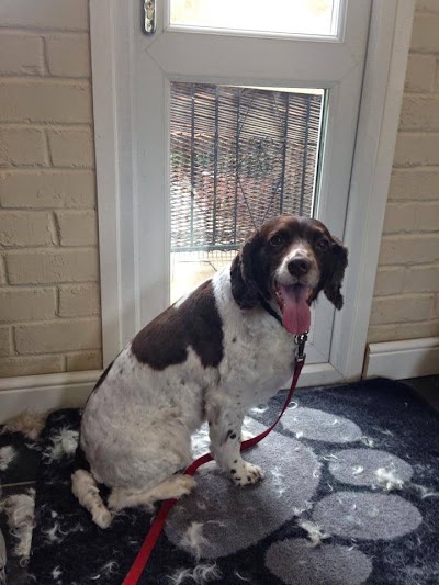 Grooming Van Image