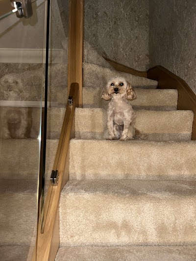 Grooming Van Image