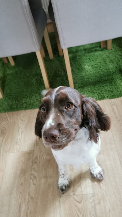 Grooming Van Image