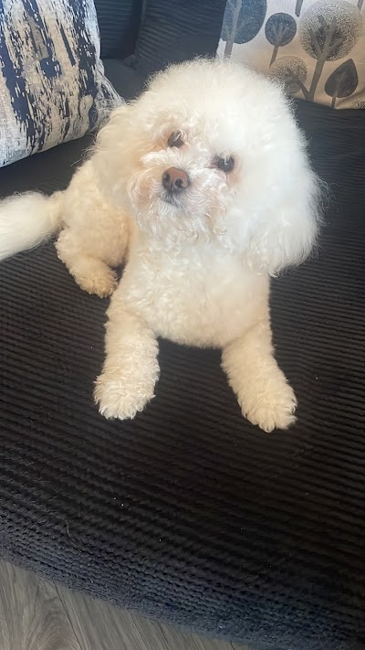 Grooming Van Image