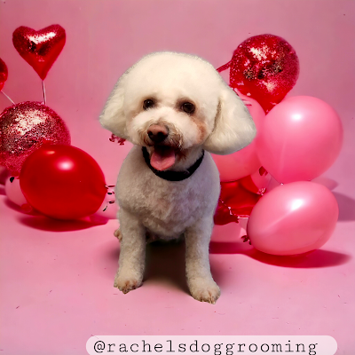 Grooming Van Image