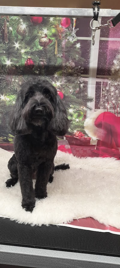Grooming Van Image