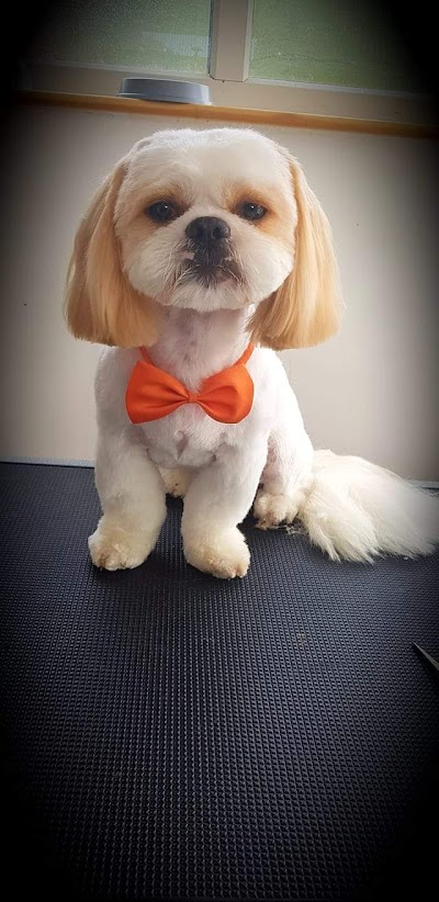Grooming Van Image