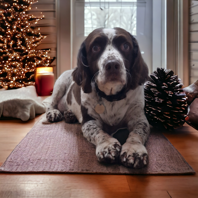 Grooming Van Image