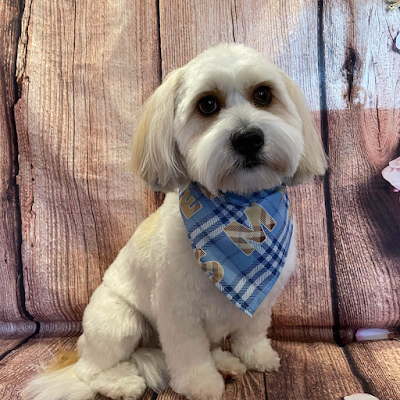 Grooming Van Image