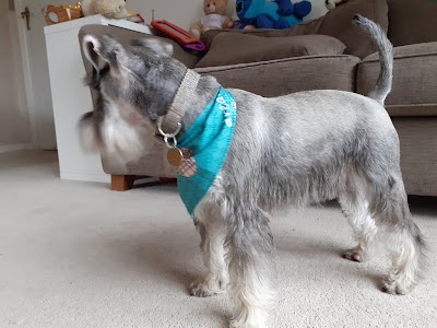 Grooming Van Image