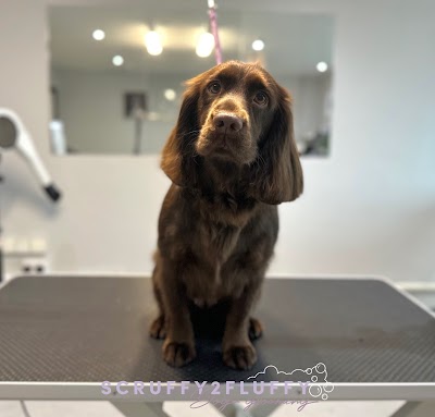 Grooming Van Image