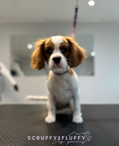 Grooming Van Image
